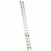 Extension Ladder