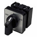Changeover cam switch