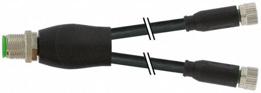 Cordset Male M12 Straight