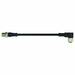 Cordset Straight M12 Black 22 AWG 4A