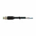 Cordset Straight M12 20 AWG 26 AWG 6 A