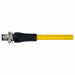 Cordset Straight M12 Yellow 16 AWG 12 A