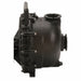 Pump Head 5.5 hp 50 ft Max Head