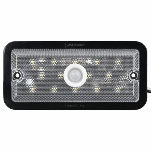 Vehicle Dome and Courtesy Lights