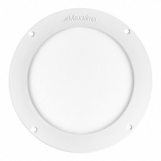 Vehicle Dome Light 12.8V DC White