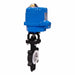 Electrically Actuated Butterfly Valve