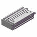 Guided Cylinder 25mm Bore 100mm Stroke