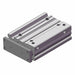 Guided Cylinder 40mm Bore 100mm Stroke