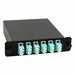Fiber Optic Cassette