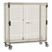 Mobile Security Unit Taupe Steel