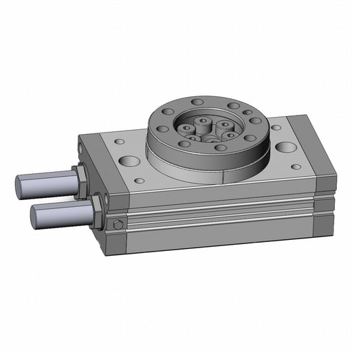 Rotary Actuator Table Size100 Basic Type