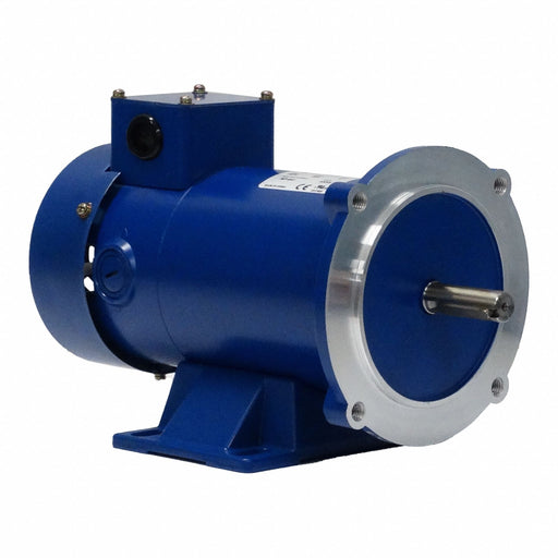 DC Permanent Magnet Motor 1 HP 5.0 A