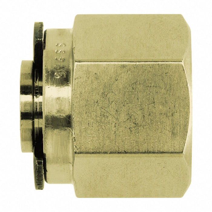 Plug Brass Tube 5/8 in