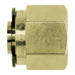 Plug Brass Tube 1/8 in