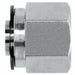 Plug Stainless Steel Compression 1 in