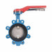 Butterfly Valve 6 Buna-N