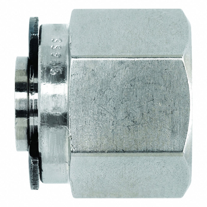Plug StainlessSteel Compression1/4in