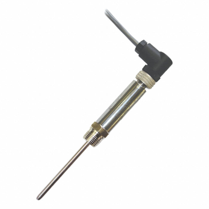 Digital Thermometer
