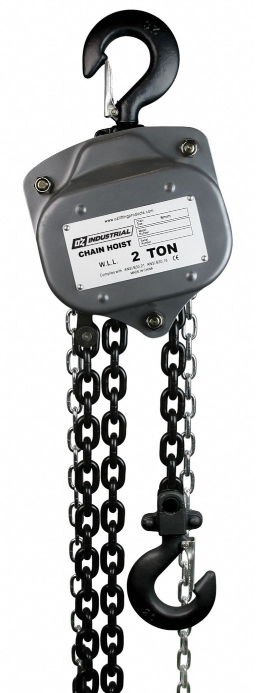 Manual Chain Hoist 30 ft Chain L Gray