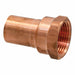 Copper Straight FTG 3/4in FNPT 1/2in