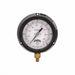 N0162 Gauge 4-1/2 Dial Size MNPT Connection