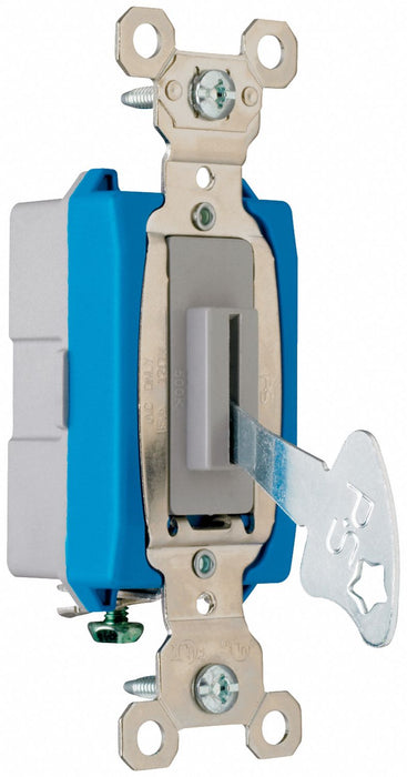 Wall Switch Gray 15A Back Side SnglPole