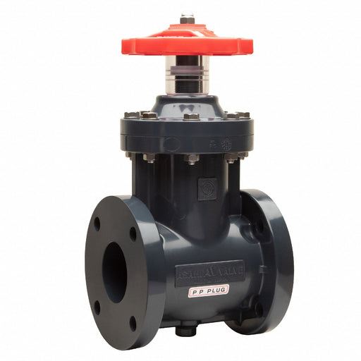 Gate Valve 4 PVC Flange