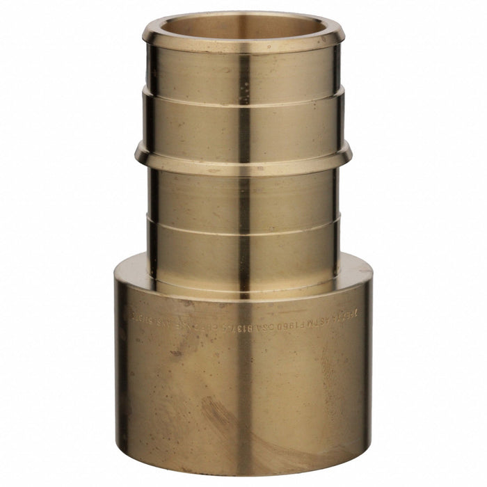 Strt Brass Barbed 1 5/64  Cup 1 1/2 