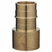 Strt Brass Barbed 1 5/64  Cup 1 1/2 