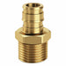 Straight Brass Barbed 51/64  MNPT 1 