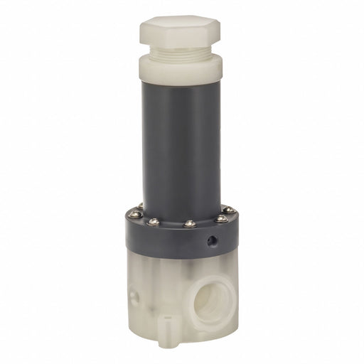 Adjustable Relief Valve 2 In 5 to 100psi