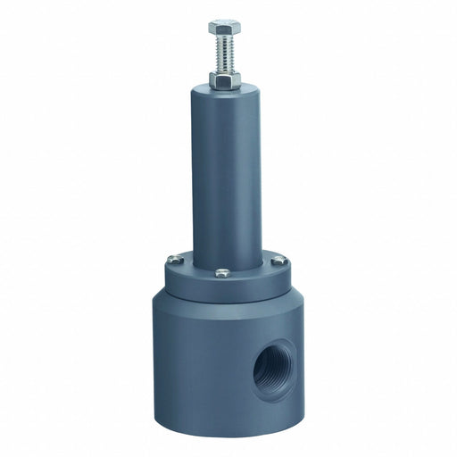 Pressure Relief Valve 3/4In 5 to 100 psi