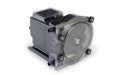 PeristalticChemMeterPump 315gpd 100psi