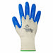 Dexterity Ctn Glv Nt Ct10 PK12