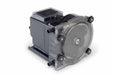 PeristalticChemMeterPump 315gpd 100psi