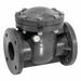 Swing Check Valve 19.5 in Overall L