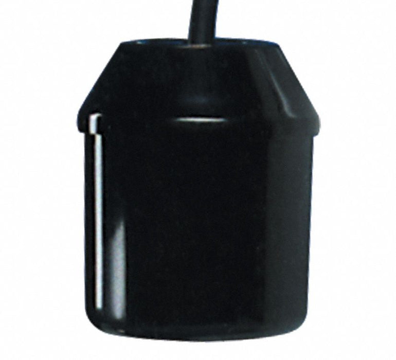 Float Switch 10 ft PVC 120/230V AC