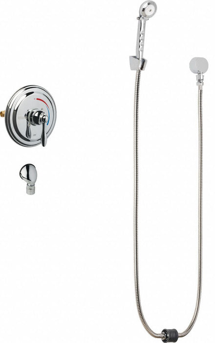 Shower Fitting