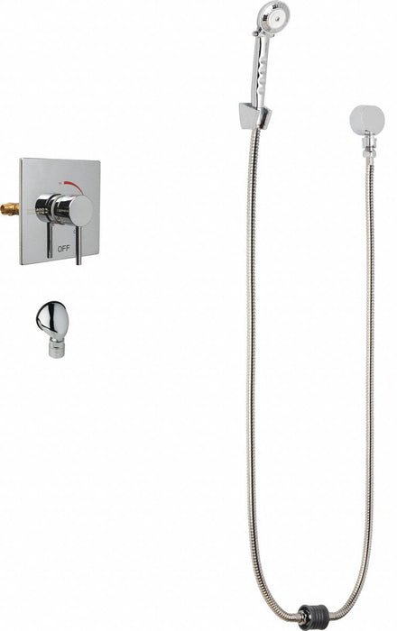 Shower Fitting