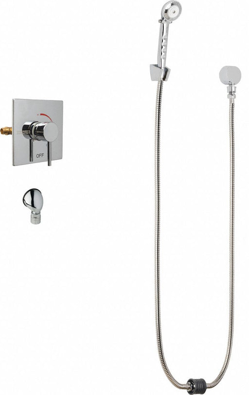 Shower Fitting