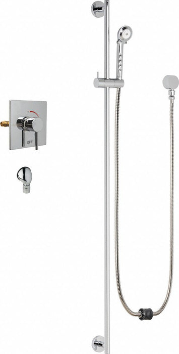 Shower Fitting