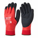 Knit Gloves Black Unisex PR