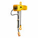 Extended Lift Electric Chain Hoist
