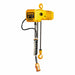 Extended Lift Electric Chain Hoist