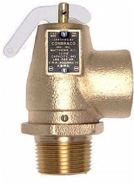 Safety Relief Valve 1-1/4x1-1/2 In 15psi