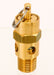 Pneumatic Safety Valve 1/4 (M)NPT Inlet