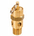 Air Safety Valve 1/4 Inlet 50 psi
