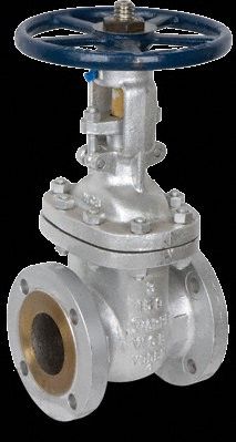 Gate Valve 1 CF8M SS Flange