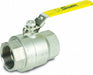 Manual 2-Way Ball Valve NPT 316 SS