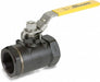 Manual 2-Way Ball Valve NPT Carbon Steel